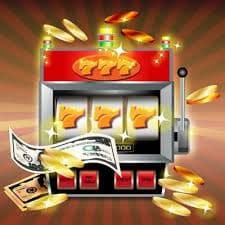 ক্রিকেট বিনোদনে bet 277 গাইডের পরিচয়